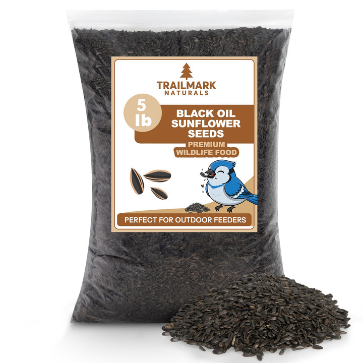 Black Oil Sunflower Seeds – Trailmark Naturals