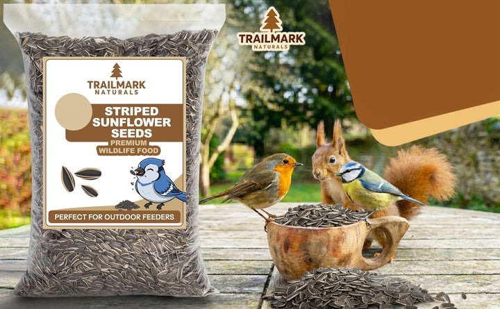 Striped Sunflower Seeds – Trailmark Naturals