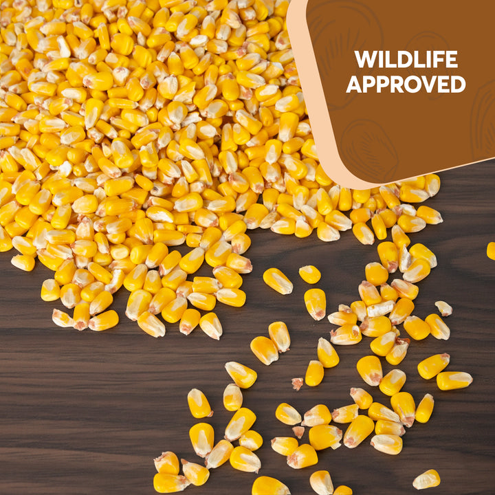 Whole Corn – Trailmark Naturals