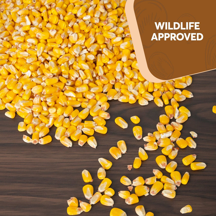 Whole Corn – Trailmark Naturals - Trailmark Naturals