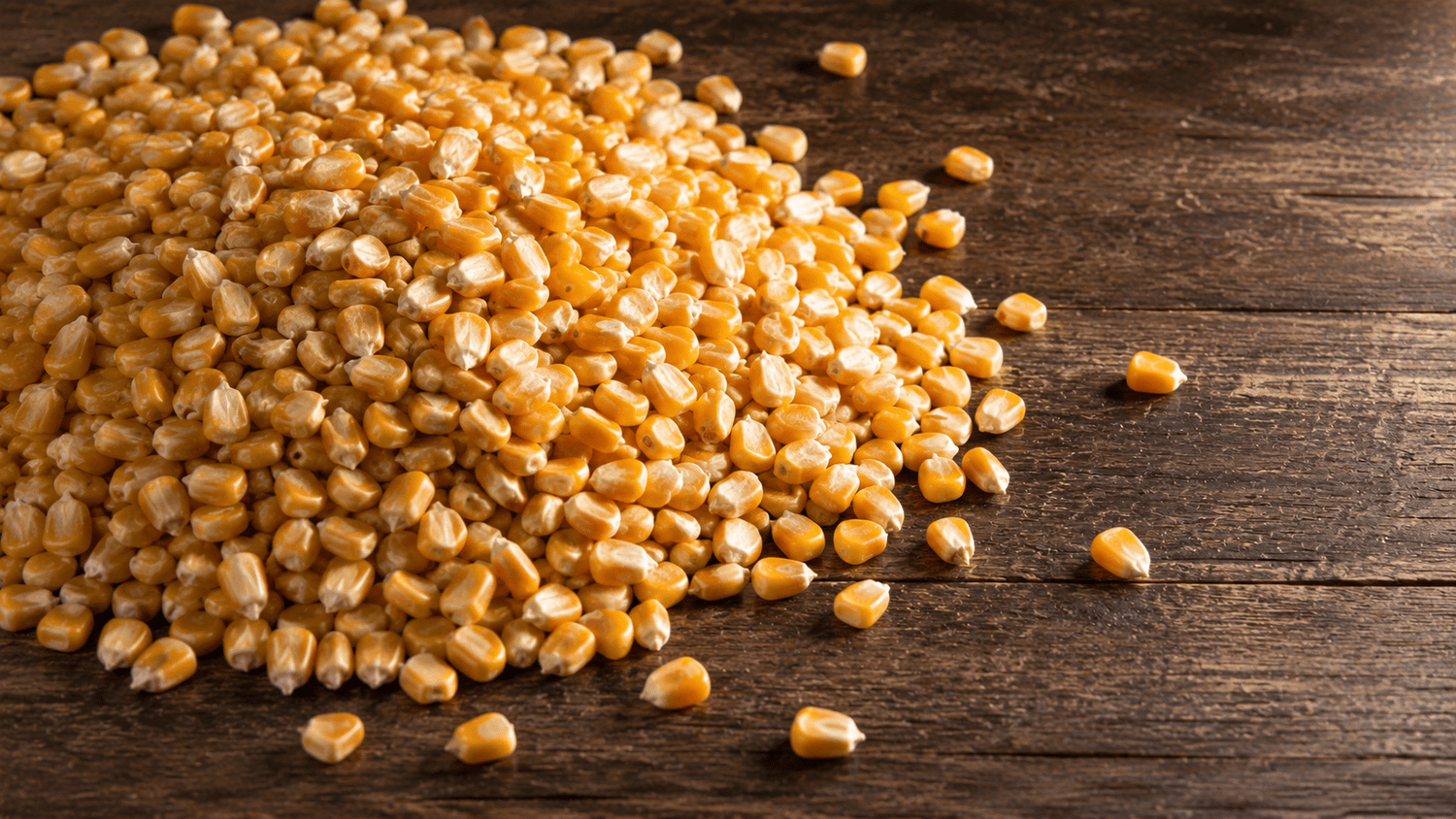 Corn Feed - Trailmark Naturals