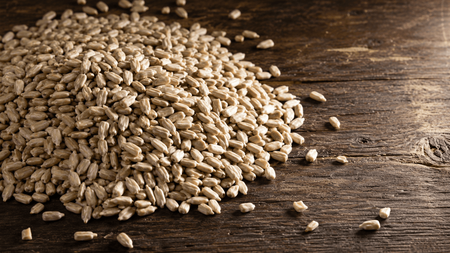 Sunflower Seeds - Trailmark Naturals