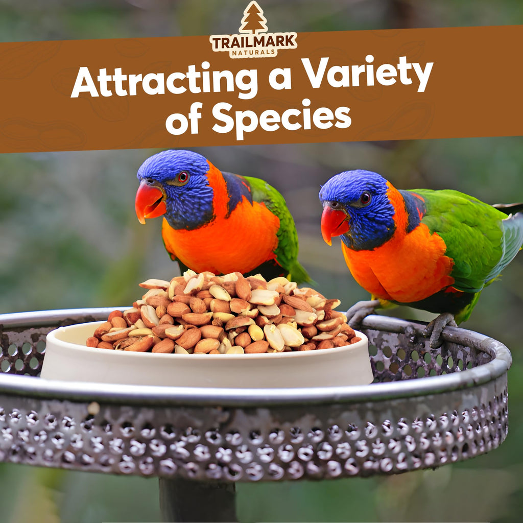 Two colorful birds at a bird feeder withTrailmark Naturals logo and text 'Attracting a Variety of Species'.