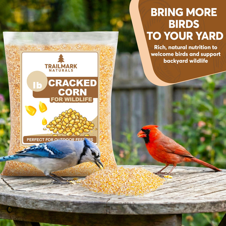 Cracked Corn – Trailmark Naturals