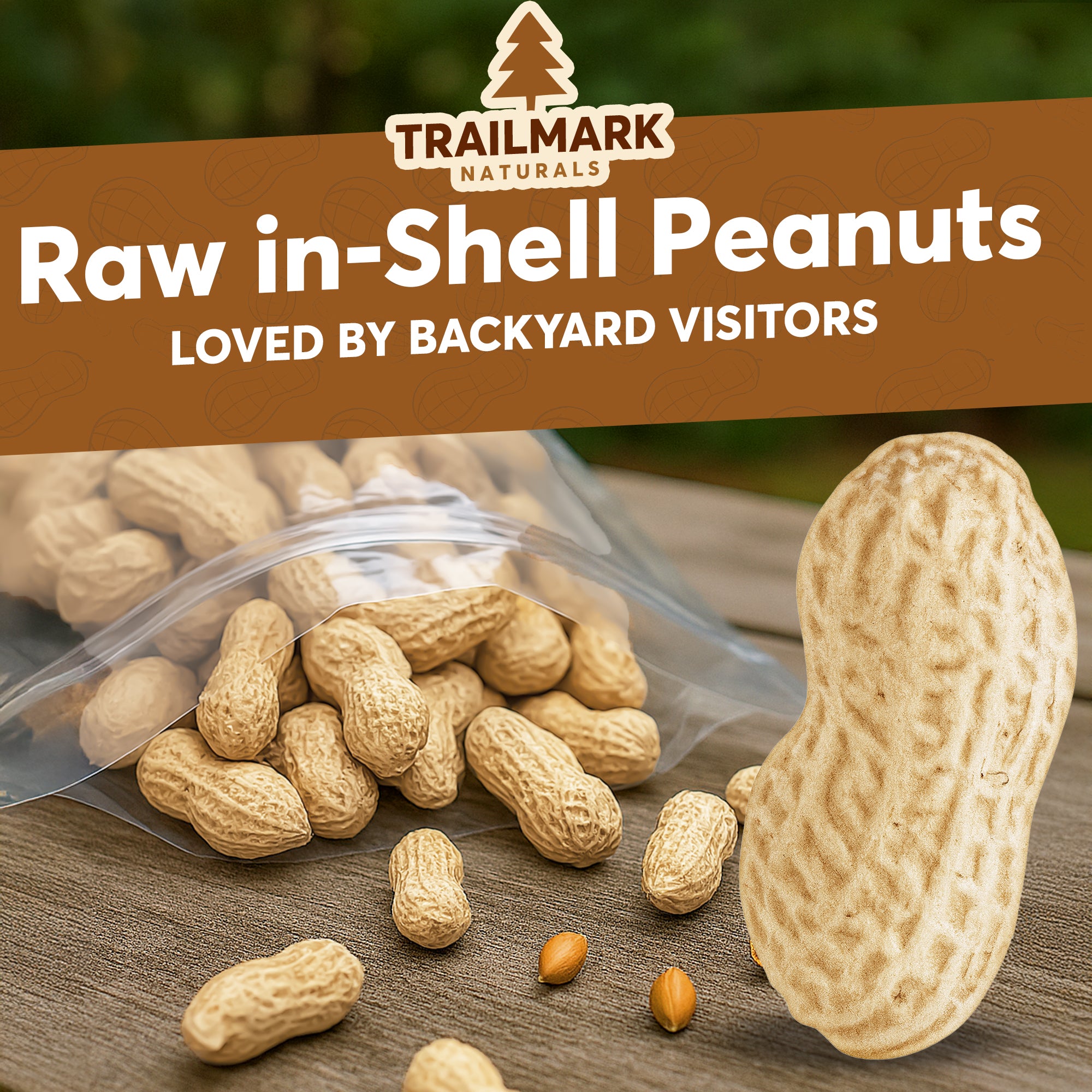 Raw Peanuts- In Shell – Trailmark Naturals