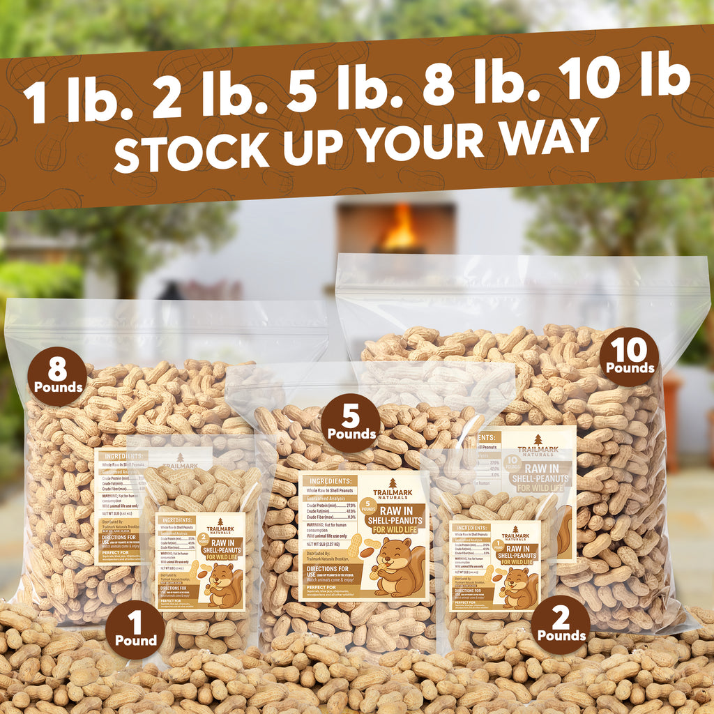 Raw Peanuts- In Shell – Trailmark Naturals