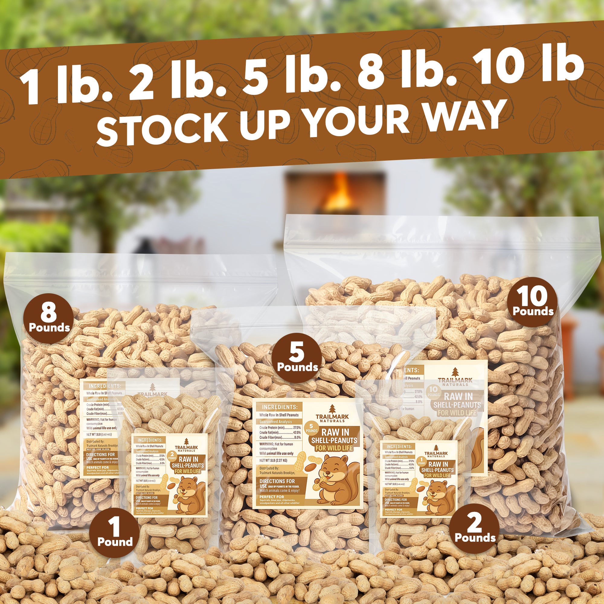 Raw Peanuts- In Shell – Trailmark Naturals