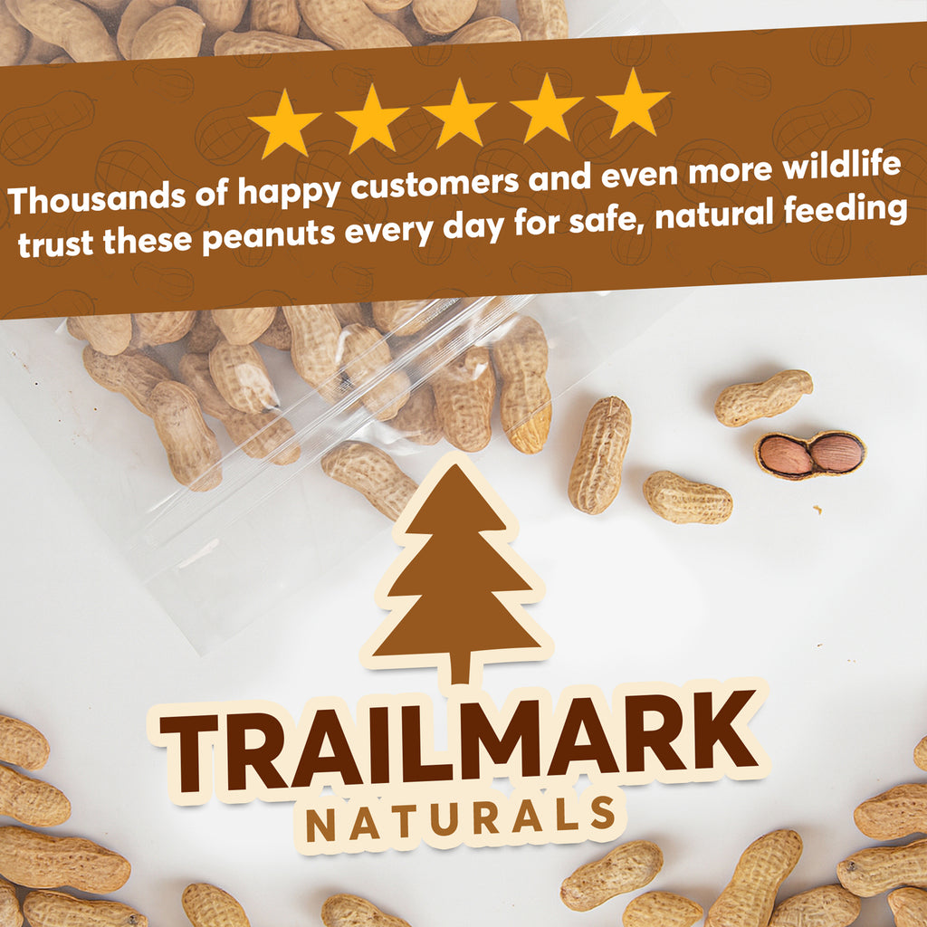 Raw Peanuts- In Shell – Trailmark Naturals