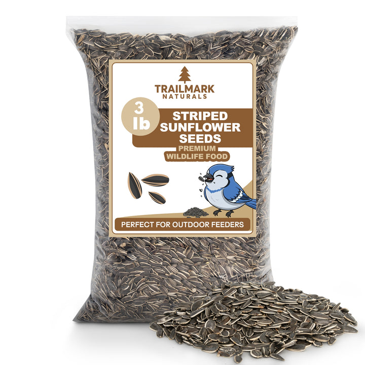 Striped Sunflower Seeds – Trailmark Naturals