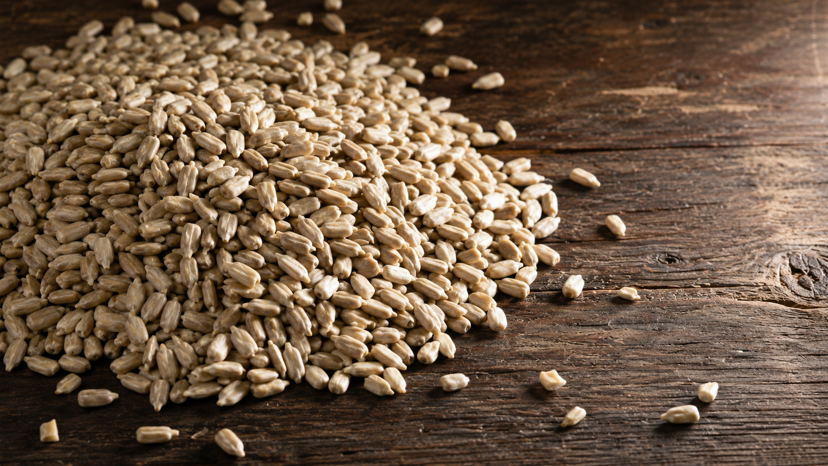 Sunflower Seeds