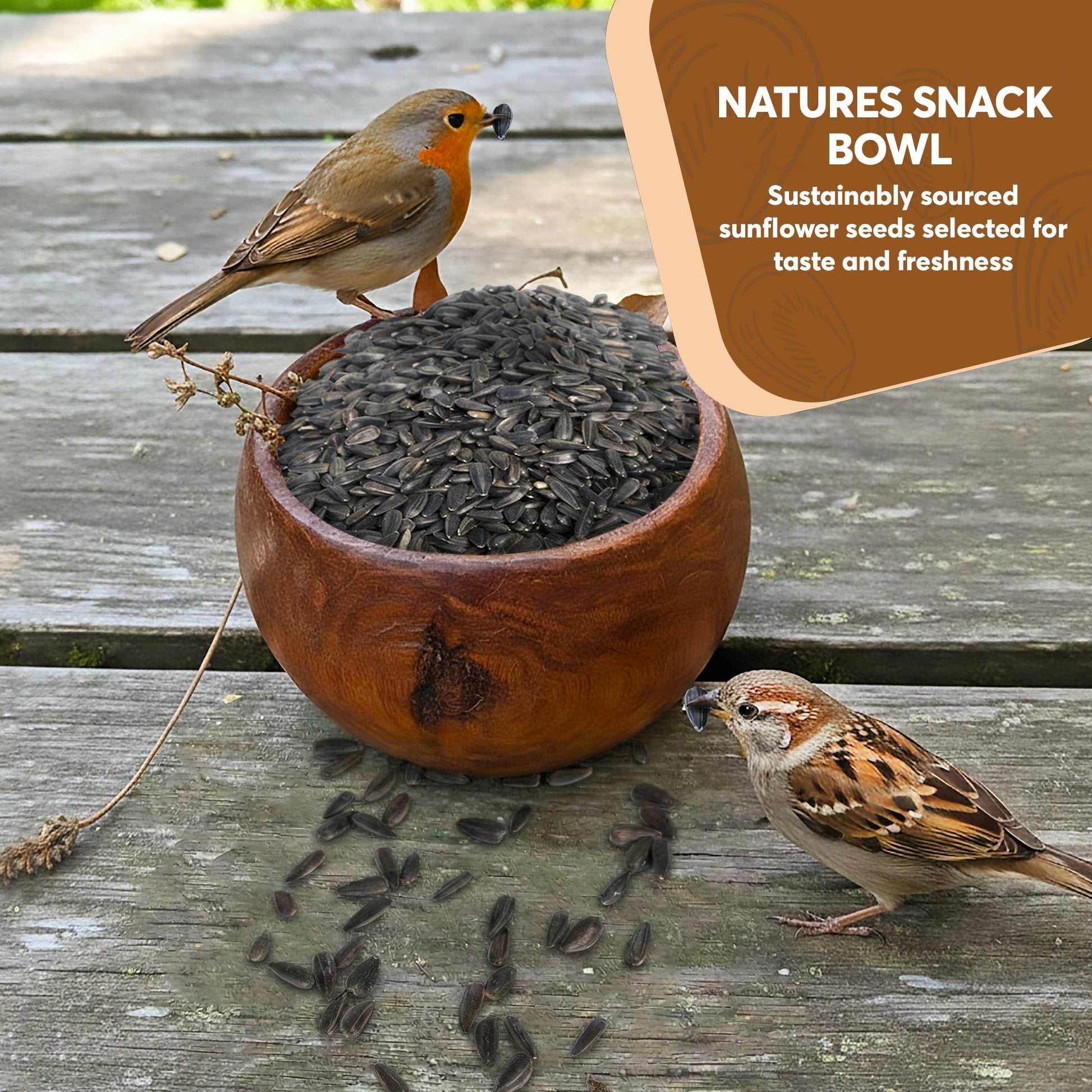 Black Oil Sunflower Seeds – Trailmark Naturals - Trailmark Naturals