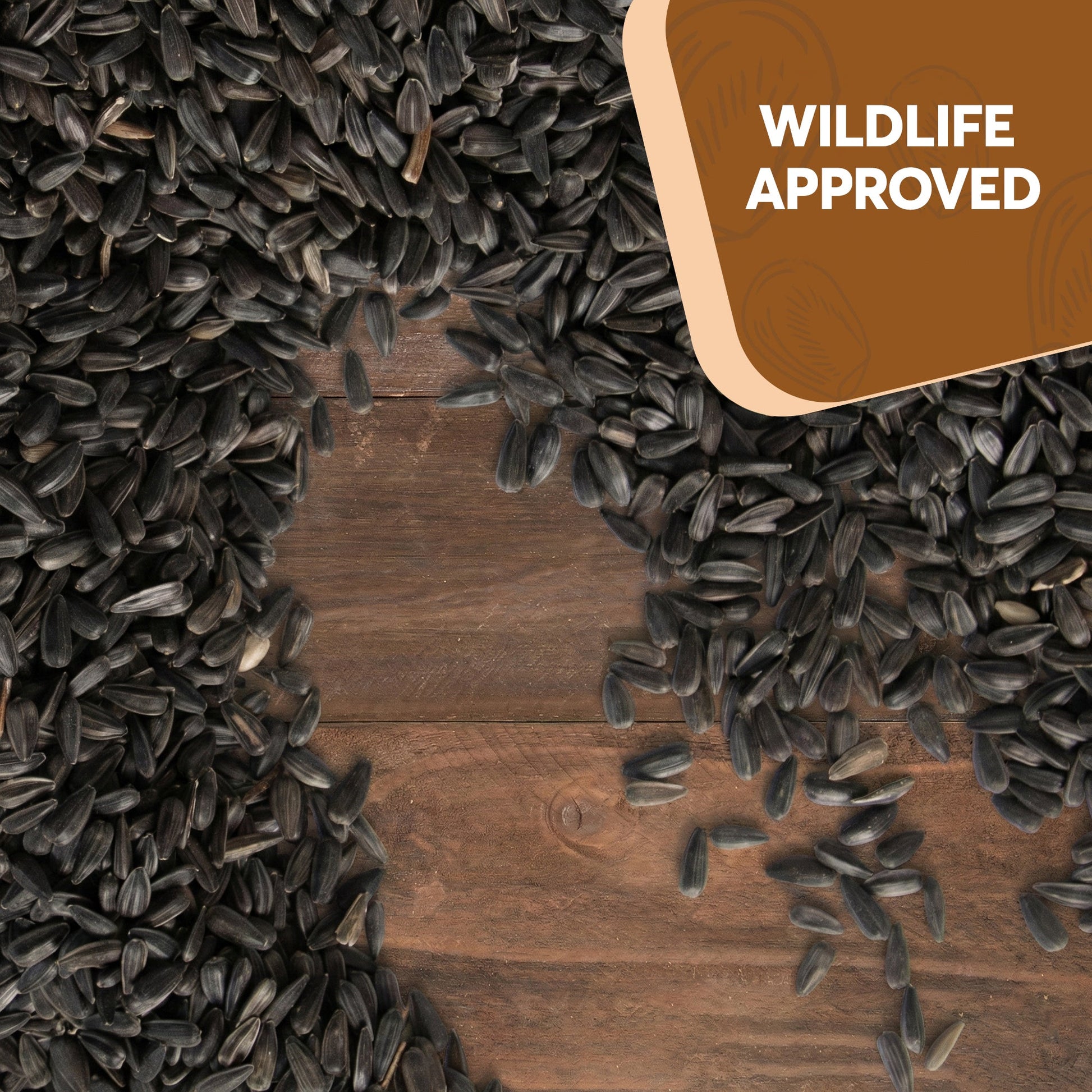 Black Oil Sunflower Seeds – Trailmark Naturals - Trailmark Naturals