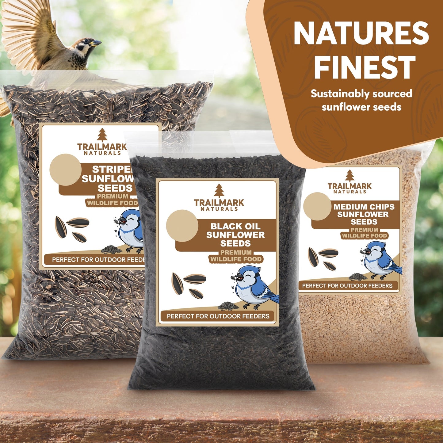 Medium Sunflower Chips – Trailmark Naturals - Trailmark Naturals