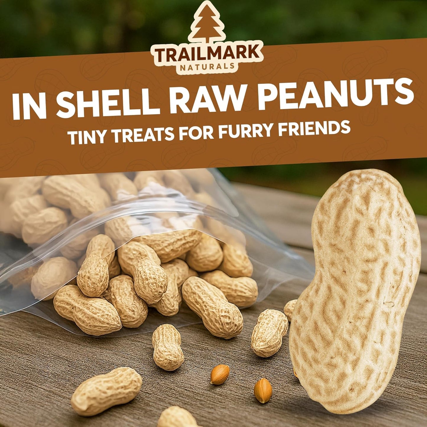 Raw In-Shelled Peanuts – Trailmark Naturals - Trailmark Naturals