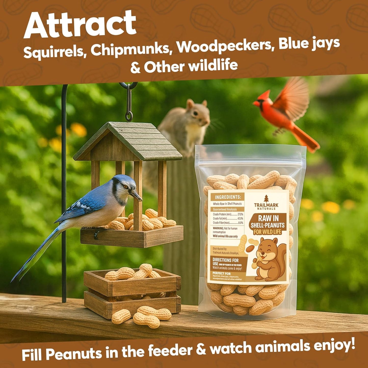 Raw In-Shelled Peanuts – Trailmark Naturals - Trailmark Naturals