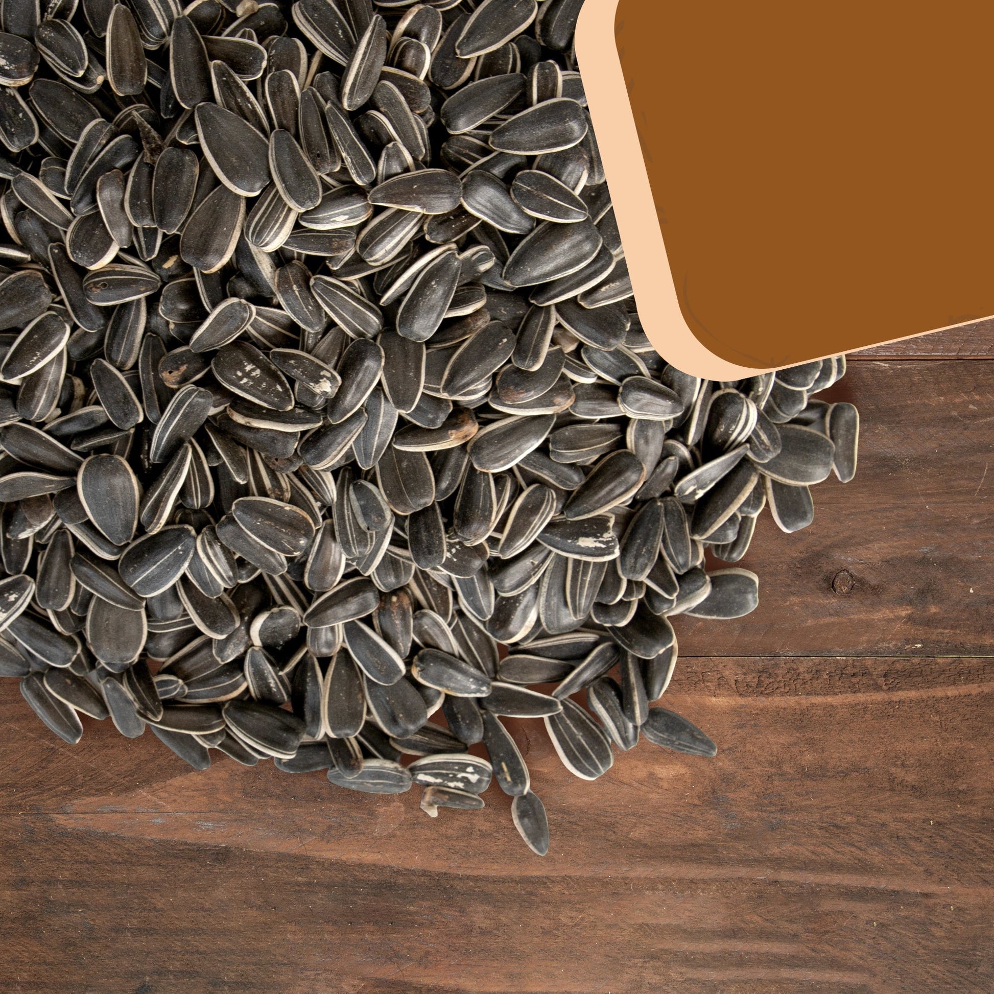 Striped Sunflower Seeds – Trailmark Naturals - Trailmark Naturals